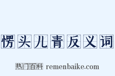 愣头儿青反义词是什么意思的图片